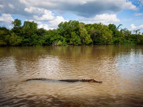 breaking the rules croc|[Croc] Breaking the Rules 1.